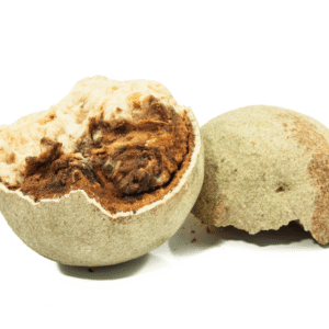 Natural wood apple drink