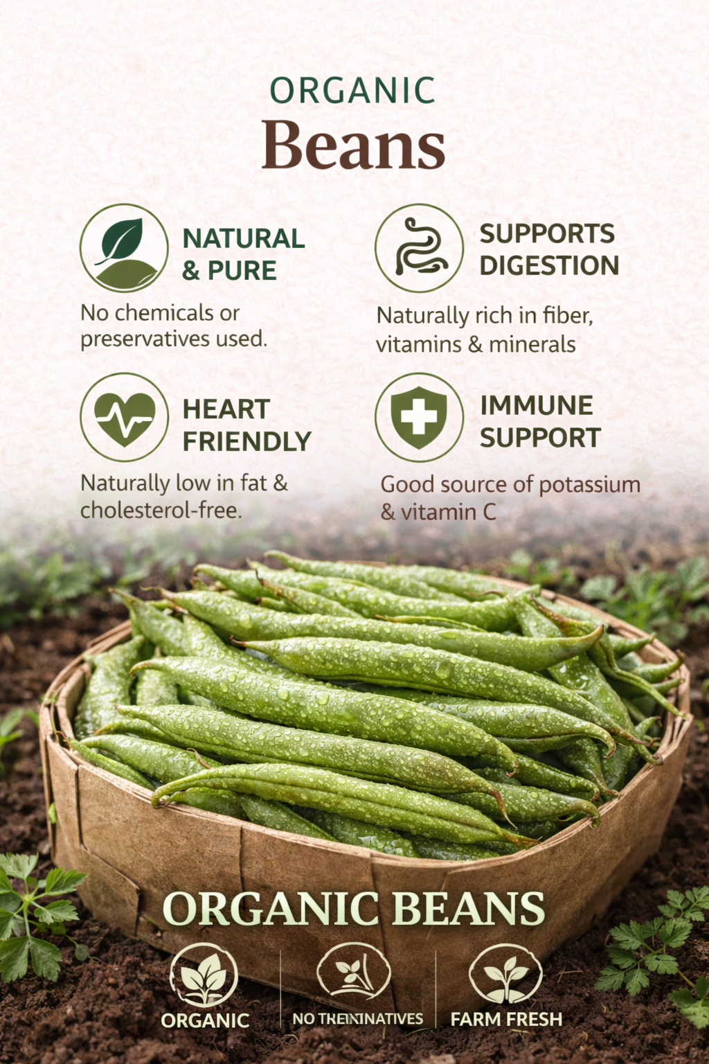 MAL Organic Beans - Image 5